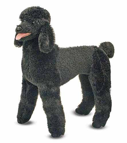 lifelike black poodle