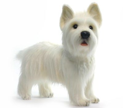 West Highland Terrier lifelike