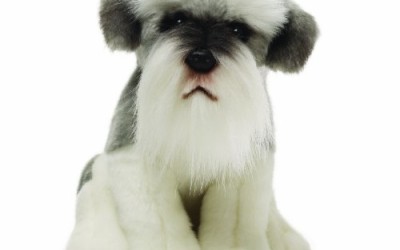 Gund Scrapy The Schnauzer Dog Plush