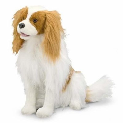 Cavalier King Charles Spaniel - Plush