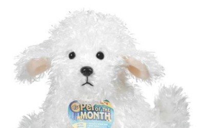 Webkinz Bichon Frise March 2014 Pet of the Month