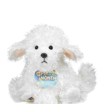 Webkinz Bichon Frise March 2014 Pet of the Month
