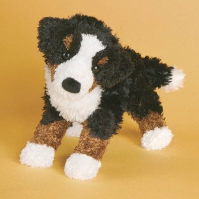 miranda-bernese-mountain